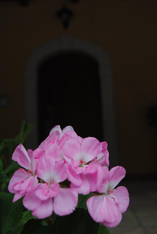 B&B Pascale Cusano Mutri Exterior foto